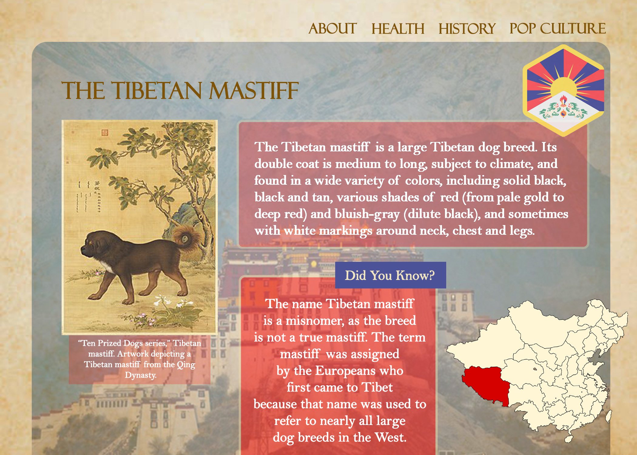 Tibetan Mastiff computer view